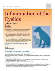 inflammation_of_the_eyelids
