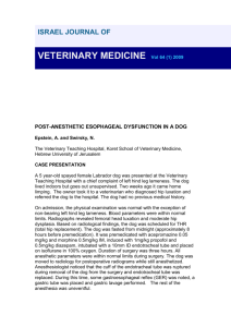 POST-ANAESTHETIC ESOPHAGEAL DYSFUNCTION IN A DOG