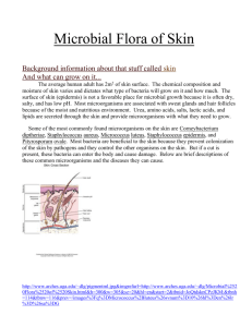 Microbial Flora of Skin