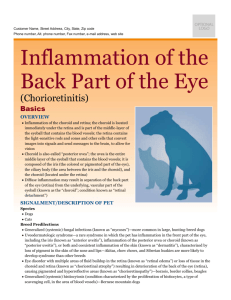 inflammation_of_the_back_part_of_the_eye