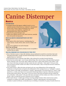 canine_distemper