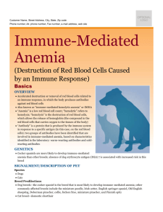 immune-mediated_anemia