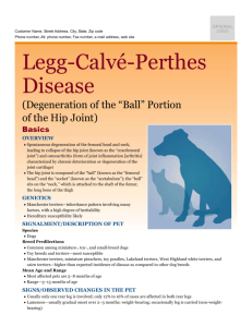 legg-calve-perthes_disease
