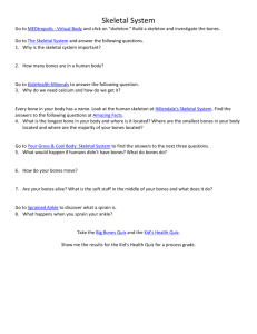 Body Systems Web Unit Worksheets