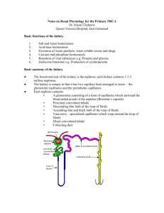 Renal physiology for the Primary FRCA
