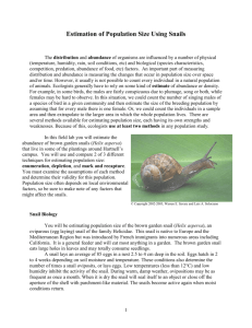 Estimation of Population Size Using Snails