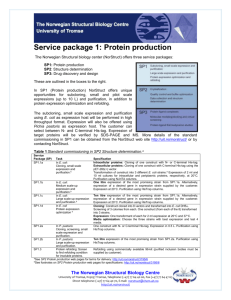 SP1 Protein production order form