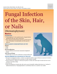 fungal_infection_of_the_skin_hair_or_nails