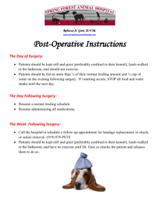 Post-Operative Patients - Spring Forest Animal Hospital | Raleigh NC