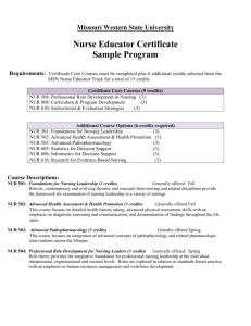 Degree Requirements for Bachelor of Science in Nursing: