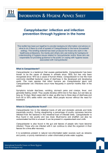 Campylobacter - Home Hygiene & Health