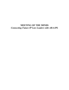 Meeting of the Minds Editor - Guidelines