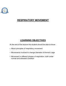 About principles of respiratory movement