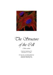 Laboratory Practical in the Structure of the Cell