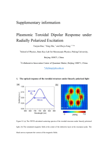 Supplementary information Plasmonic Toroidal Dipolar Response