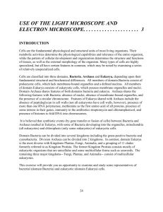 use of the light microscope and electron microscope-3