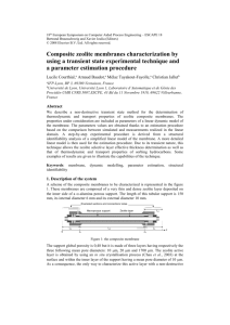 Composite Zeolite Membranes Characterization by Using a