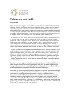 Pollution and Lung Health
