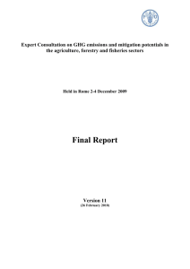 Report of the Expert Consultation on GHG emissions and mitigation