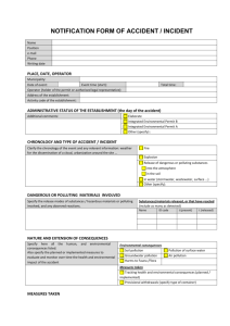 Template of inspection minutes for small incident/accident