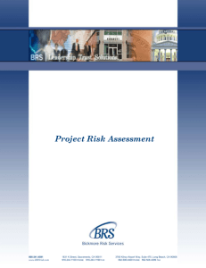 Project Risk/Reward Assessment