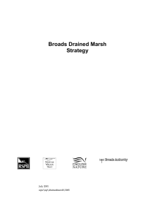 Drained Marsh strategy