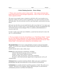 Cell Transport Critical Thinking Answers