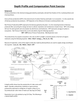 studylib.net - Essys, homework help, flashcards, research papers, book