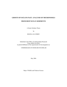 Thesis revised - Texas A&M University