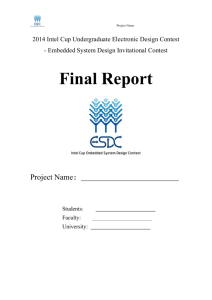 Attach 2: Final report template