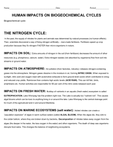 HUMAN IMPACTS ON THE NITROGEN CYCLE