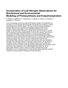 Incorporation of Leaf Nitrogen Observations for Biochemical and