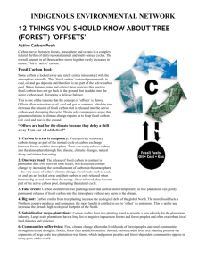 FACTSHEET - IEN Trees Forest Offset