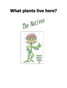 Plants Coloring Book - Umatilla County SWCD