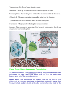 Transpiration - The flow of water through a plant
