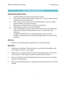 H2O Lesson 3 Lab Worksheets