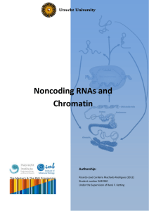 Noncoding RNAs and Chromatin