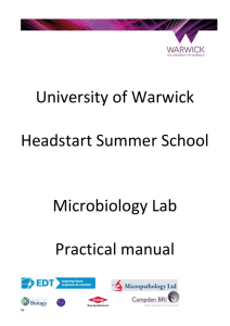University of Warwick Headstart Summer School Microbiology Lab