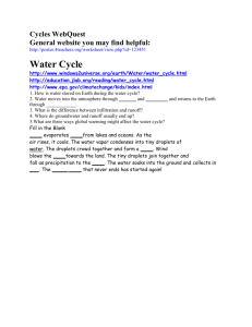 Cycles WebQuest