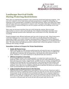 Landscape Survival Guide during Water Restrcitions