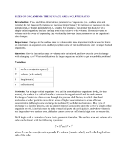 studylib.net - Essys, homework help, flashcards, research papers, book