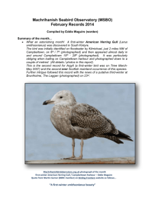 February 2014 - Machrihanish seabird & Wildlife Observatory