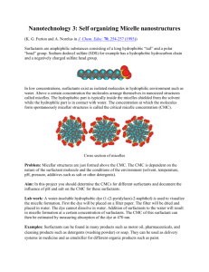 Nanotechnology 3: Self organizing Micelle nanostructures