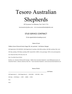Stud Contract - Tesoro Australian shepherds