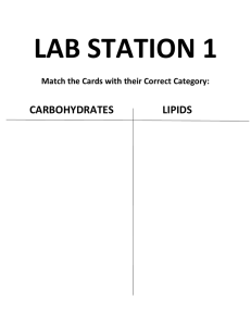 Bundle 3 Lab Stations Review