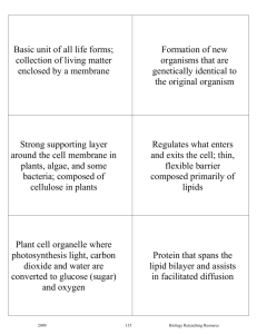 BCPS Biology Reteaching Guide Cells Vocab Card Definitions