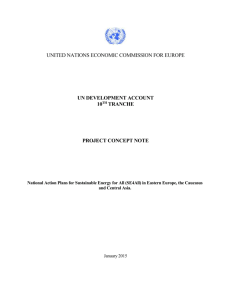 Professional Report - the United Nations