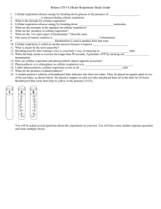 Botany CH 9 Cellular Respiration Study Guide