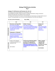 12 Day Biology Review File 1 - Ector County Independent School