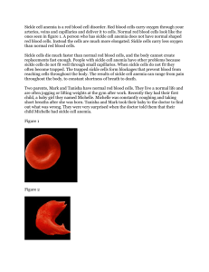 Sickle cell anemia is a red blood cell disorder